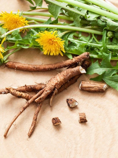 Dandelion Root