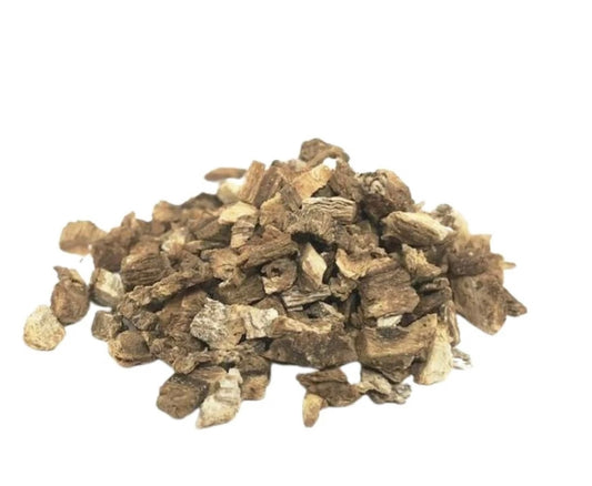 Burdock Root